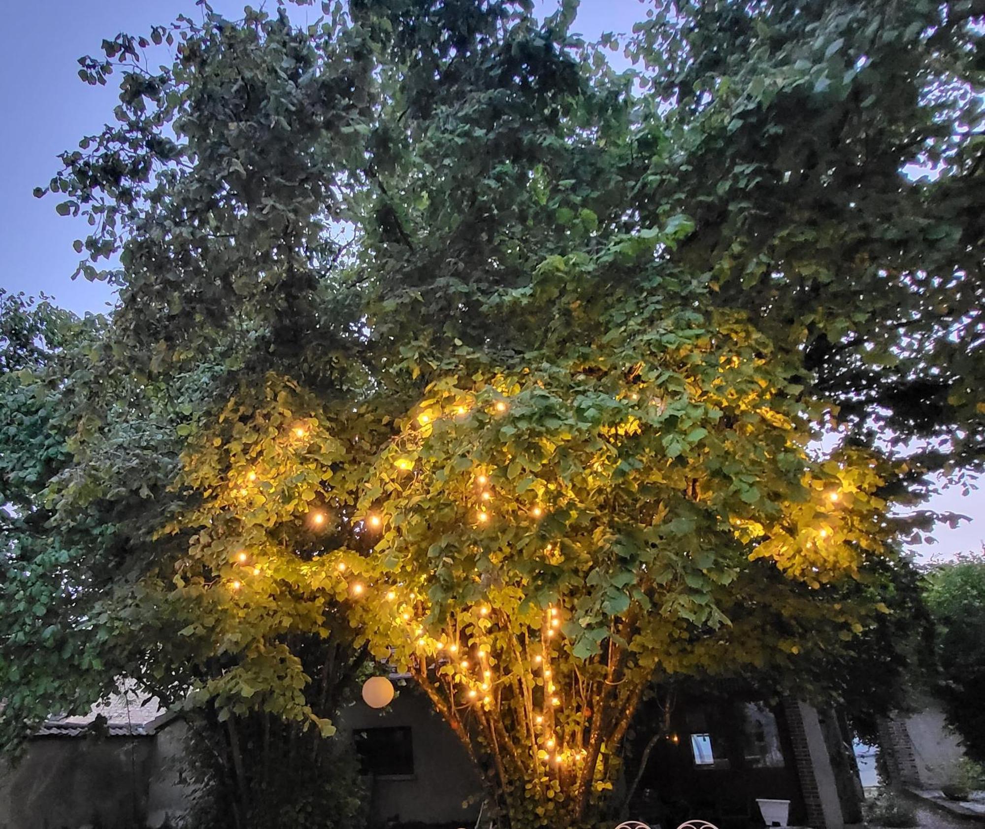 Bed and Breakfast La Demeure D'Othe Sormery Zewnętrze zdjęcie
