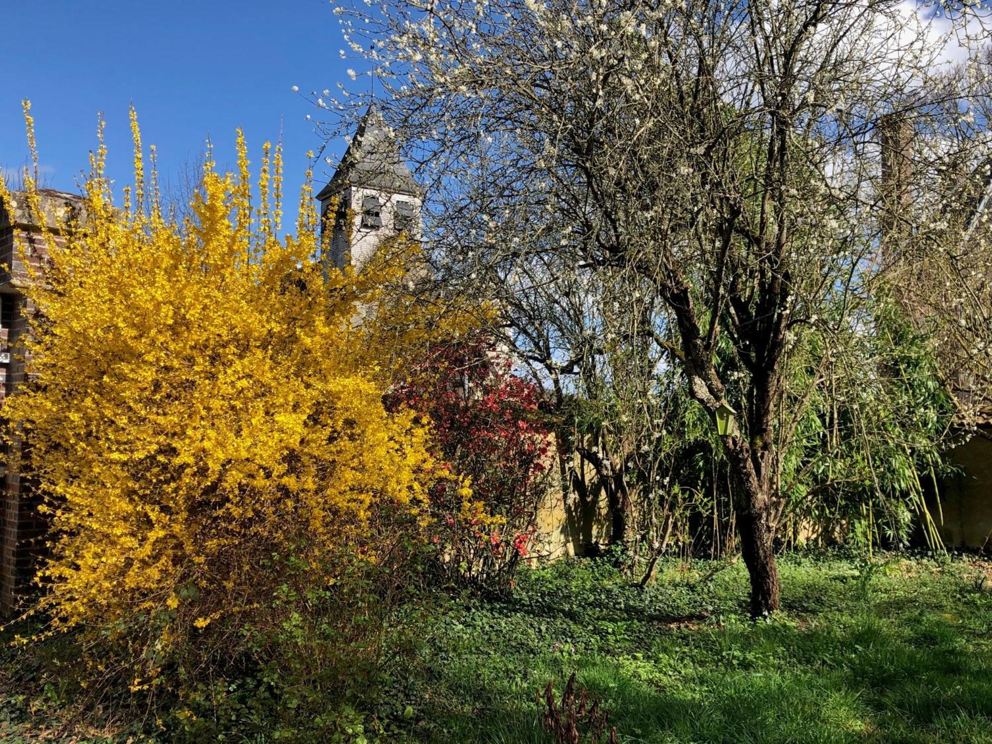 Bed and Breakfast La Demeure D'Othe Sormery Zewnętrze zdjęcie